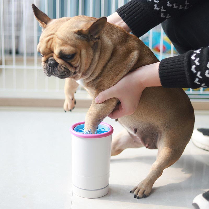 Nettoyeur portable de pattes : Accessoire chien, Nettoyeur patte chien –  BGadgets France